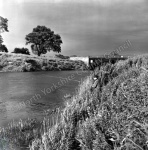 Fishing, River Swale, Thornton Bridge